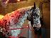 PoulaTo: 10 chronón Kfps Reg Friesian Mare